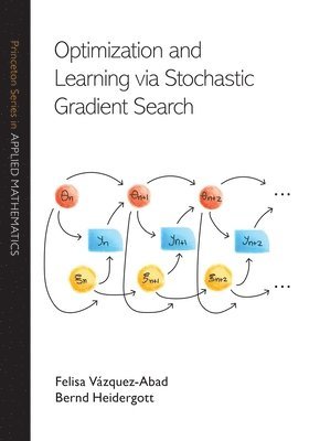 Felisa Vázquez-Abad, Bernd Heidergott - Optimization and Learning via Stochastic Gradient Search, Inbunden