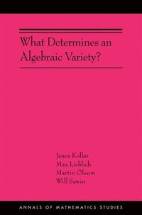 bokomslag What Determines an Algebraic Variety?