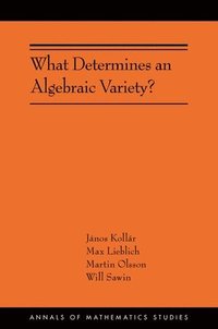 bokomslag What Determines an Algebraic Variety?