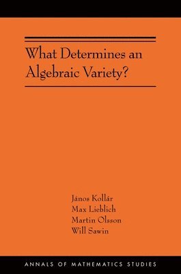 János Kollár, Max Lieblich, Martin Olsson, Will Sawin - What Determines an Algebraic Variety?, Häftad