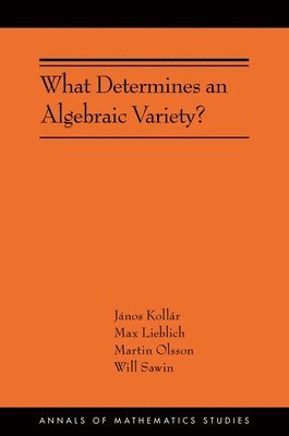 What Determines an Algebraic Variety? 1