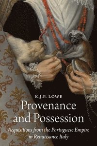 bokomslag Provenance and Possession