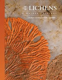 bokomslag The Lives of Lichens