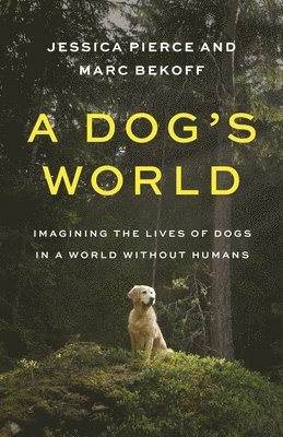 Dog's World 1