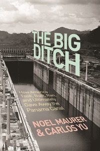 bokomslag The Big Ditch