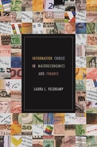 bokomslag Information Choice in Macroeconomics and Finance