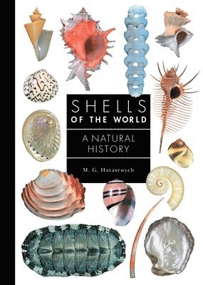 Shells of the World 1