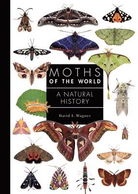 Moths of the World 1
