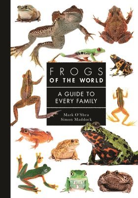 Frogs of the World 1