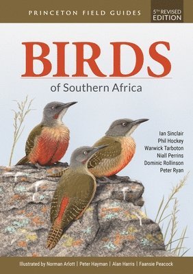 bokomslag Birds of Southern Africa: Fifth Revised Edition