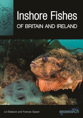 Lin Baldock, Frances Dipper - Inshore Fishes of Britain and Ireland, Häftad