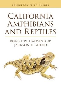 bokomslag California Amphibians and Reptiles