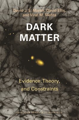 David J. E. Marsh, David Ellis, Viraf M. Mehta, David J E Marsh, Viraf M Mehta - Dark Matter, Häftad