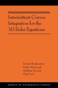 bokomslag Intermittent Convex Integration for the 3D Euler Equations
