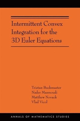 bokomslag Intermittent Convex Integration for the 3D Euler Equations