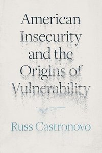 bokomslag American Insecurity and the Origins of Vulnerability