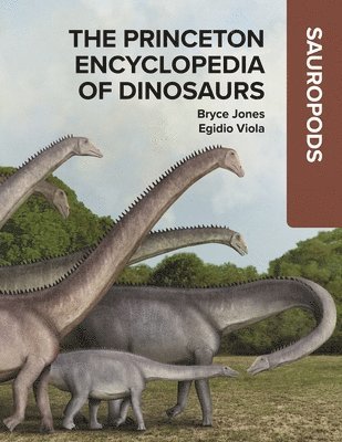 bokomslag Princeton Encyclopedia of Dinosaurs: Sauropods