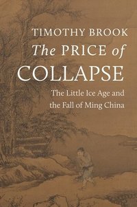 bokomslag The Price of Collapse