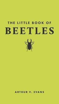 bokomslag The Little Book of Beetles