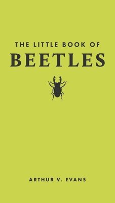 The Little Book of Beetles 1