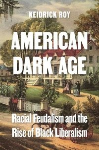 bokomslag American Dark Age