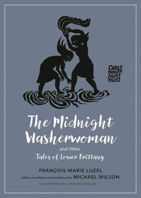 Francois-Marie Luzel, Michael Wilson - Midnight Washerwoman and Other Tales of Lower Brittany, Häftad