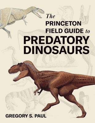 Gregory S. Paul - Princeton Field Guide to Predatory Dinosaurs, Inbunden