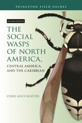 bokomslag The Social Wasps of North America, Central America, and the Caribbean, Second Edition