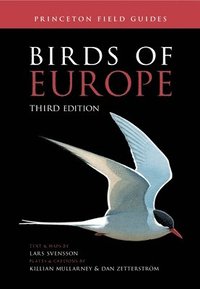 bokomslag Birds Of Europe