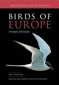 bokomslag Birds of Europe