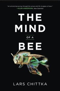 bokomslag The Mind of a Bee