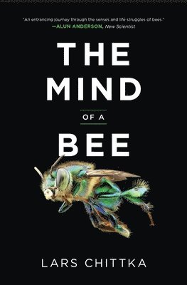 Lars Chittka - Mind of a Bee, Häftad. Tillgänglighet: Lägg i varukorg