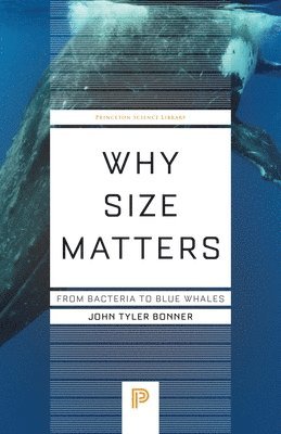 John Tyler Bonner - Why Size Matters, Häftad