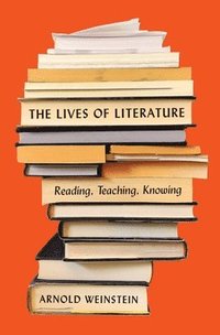 bokomslag The Lives of Literature