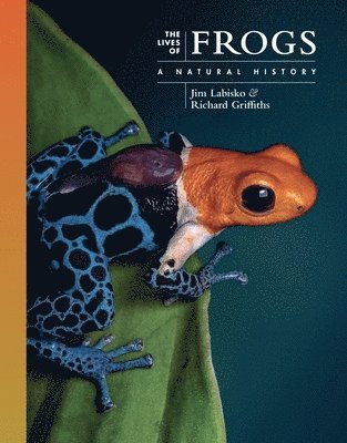 Jim Labisko, Richard Griffiths - Lives of Frogs, Inbunden