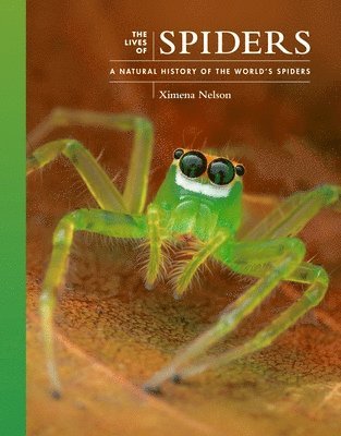 Ximena Nelson - Lives of Spiders, Inbunden