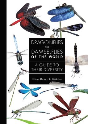 bokomslag Dragonflies and Damselflies of the World