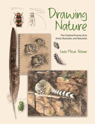 bokomslag Drawing Nature