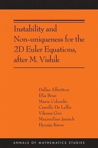 bokomslag Instability and Non-uniqueness for the 2D Euler Equations, after M. Vishik
