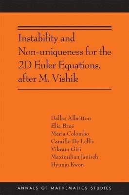 bokomslag Instability and Non-uniqueness for the 2D Euler Equations, after M. Vishik