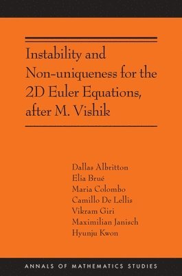 bokomslag Instability and Non-uniqueness for the 2D Euler Equations, after M. Vishik