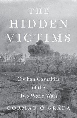 bokomslag Hidden Victims