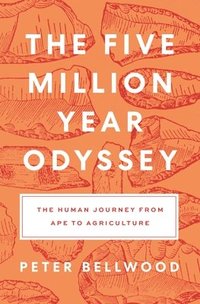 bokomslag The Five-Million-Year Odyssey