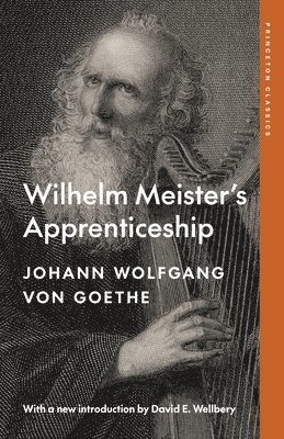 bokomslag Wilhelm Meister's Apprenticeship