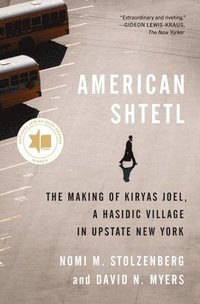 bokomslag American Shtetl