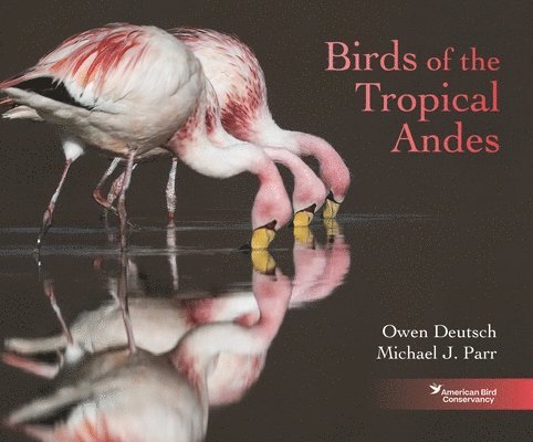 Birds of the Tropical Andes 1