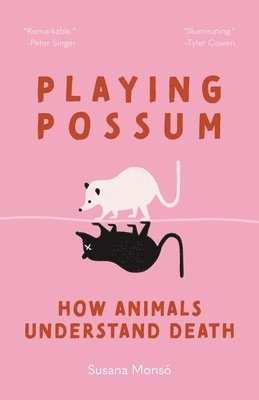 Playing Possum 1