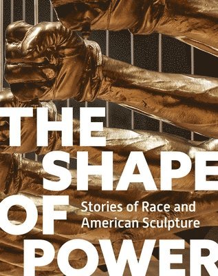 Karen Lemmey, Tobias Wofford, Grace Yasumura - Shape of Power, Inbunden