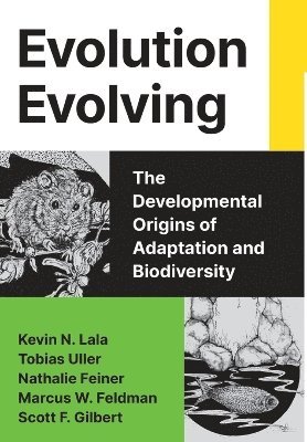 Kevin N. Lala, Tobias Uller, Nathalie Feiner, Marcus W. Feldman, Scott F. Gilbert - Evolution Evolving, Inbunden