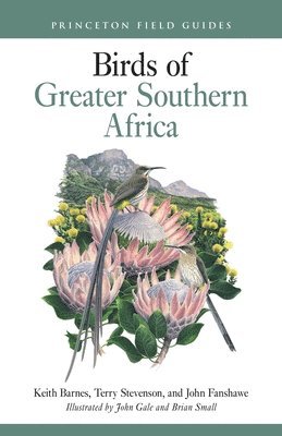 bokomslag Birds of Greater Southern Africa